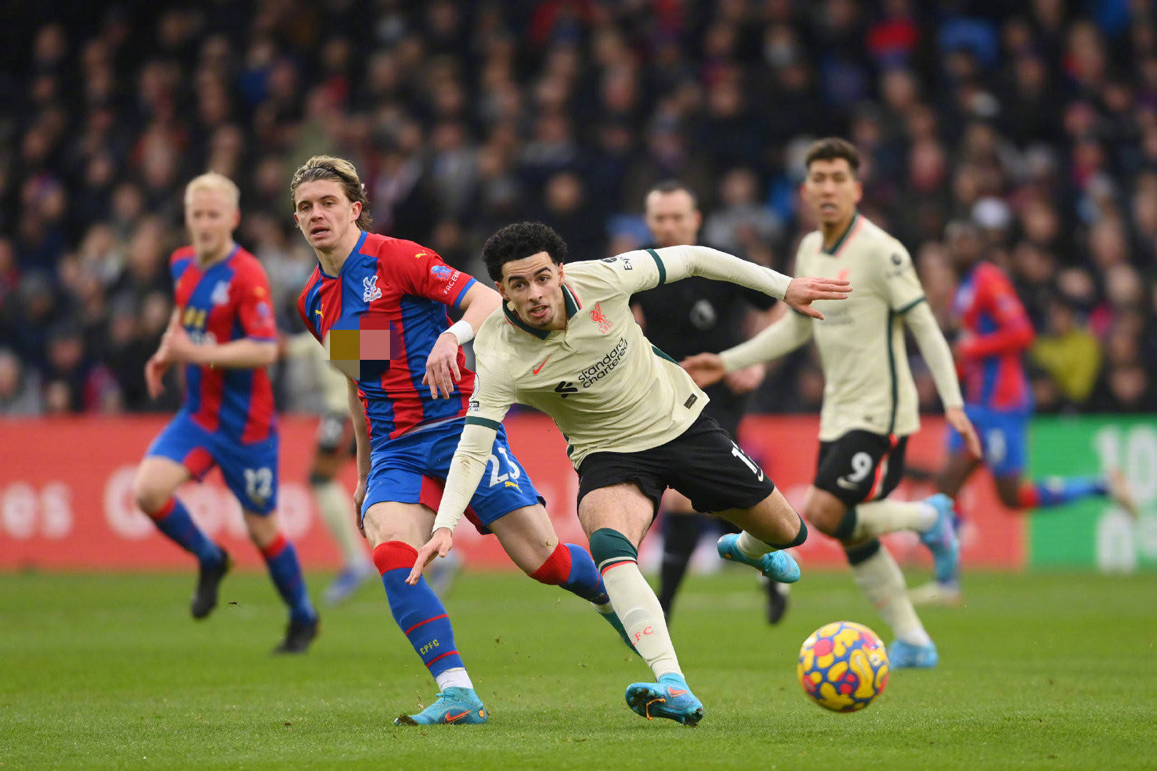 地的国际知 地的国际知